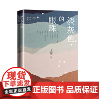 淡灰色的眼珠 王蒙 人民文学出版社 正版书籍