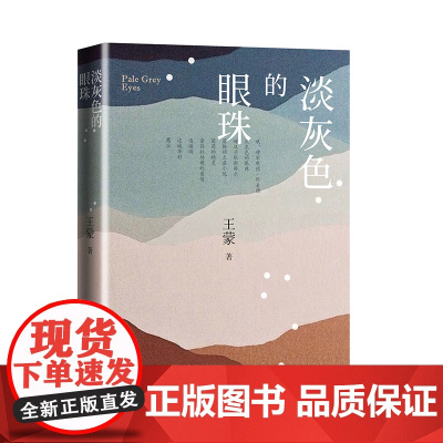 淡灰色的眼珠 王蒙 人民文学出版社 正版书籍