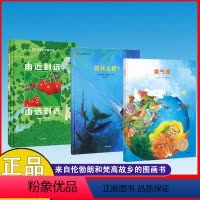 奇思妙想系列[全3册] [正版]奇思妙想系列儿童绘本 由远到近,由近到远+黄气球+跟我走吧?硬皮故事书启蒙早教绘本