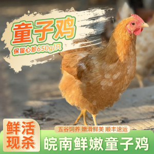 [苏鲜生推荐]三物纪 皖南童子鸡650克/只 1只装 农家慢养走地鸡新鲜现杀整只顺丰发货