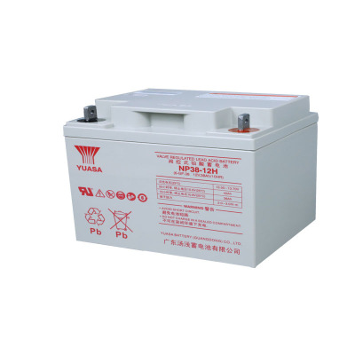汤浅YUASA 免维护铅酸蓄电池12V38Ah NP38-12H(含配件)块