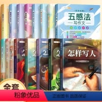 [小学作文一套搞定!]绘本作文+五感法写作文系列 小学通用 [正版]绘本作文怎样写作文小学生分类作文大全三至六年级四至五
