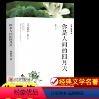 林徽因精选集[218页] [正版]世界名著全套原著 完整版无删减初中生高中生阅读课外书 朝花夕拾 西游记 昆虫记 艾青诗