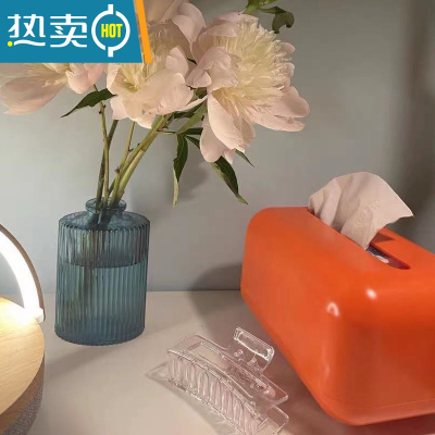 敬平ins轻奢纸巾盒 银色桌面客厅收纳盒茶几简约复古法式创意抽纸盒 活力橙-内置弹簧