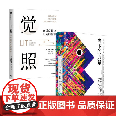 觉照+当下的力量 杰夫·卡普等 著 励志与成功