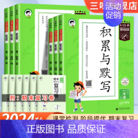 积累与默写⭐[通用版] 五年级上 [正版]53小学基础练语文积累与默写一二年级三年级四年级五六年级上下册看拼音同步训练习