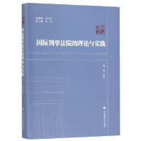 音像国际刑事法院的理论与实践/人权文库编者:凌岩|总主编:张伟