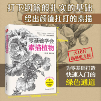 [M]零基础学会素描植物 王金 著 -9787553784052