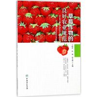 草莓作物的良好农业规范