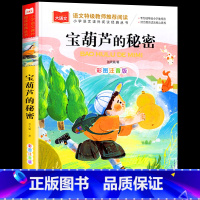 宝葫芦的秘密 [正版]宝葫芦的秘密 彩图注音版 一二三年级课外阅读书必读世界经典文学少儿名著童话故事书 大语文系列 小学