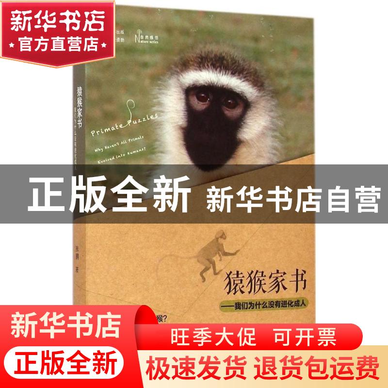 正版 猿猴家书:我们为什么没有进化成人:why haven't all primats