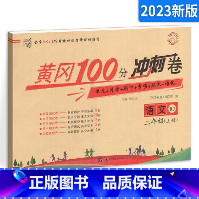 二上 语文试卷 小学通用 [正版]2023新版 魔卡阅读三四年级五六年级一二年级上册下册 语文英语阅读理解训练题 典中点