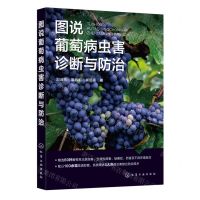 [N]图说葡萄病虫害诊断与防治-9787122432179