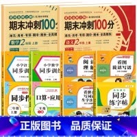 [全10册]语数试卷+语数同步训练+阅读理解+看图写话+同步练字帖+口算应用题+看拼音写词语+同步作文 小学二年级 [正