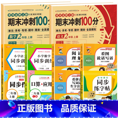 [全10册]语数试卷+语数同步训练+阅读理解+看图写话+同步练字帖+口算应用题+看拼音写词语+同步作文 小学二年级 [正