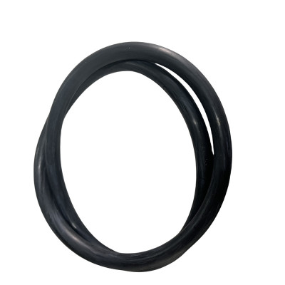 易安迪 密封圈 230mm×8.6mm 个