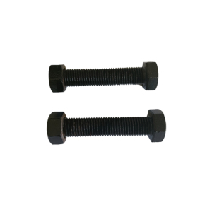 益莘 六角头发黑螺栓 M16*60mm 套