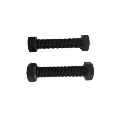 益莘 六角头发黑螺栓 M16*60mm 套