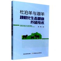 [N]杜泊羊与湖羊规模化生态健康养殖技术-9787109288584