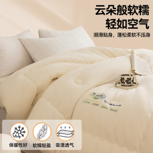 软乎乎大豆蛋白恒温云朵绒软糯冬天加厚保暖春秋被芯冬季被子棉被