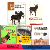 [正版]全5册高效养驴现代养驴关键技术实用养驴大全如何办个赚钱的肉驴家庭养殖场肉驴高效养殖关键技术问答饲料营养疾病防治