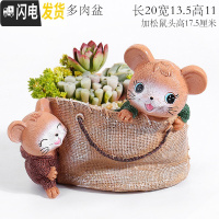 三维工匠大号口径多肉花盆创意个性简约现代卡通可爱精致小动物兔松鼠摆件 棕色加大号松鼠多肉盆 中等花盆容器