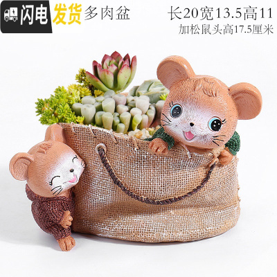 三维工匠大号口径多肉花盆创意个性简约现代卡通可爱精致小动物兔松鼠摆件 棕色加大号松鼠多肉盆 中等花盆容器
