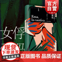女俘爱玛 塞萨尔艾拉 塞萨尔艾拉经典成名作 另著/野兔 拉美文学 文学小说 世纪文景