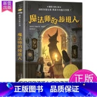 魔法师的接班人 [正版]一百条裙子国际大奖小说系列全套适合小学生四年级五六年级读物7-10-12岁青少年儿童文学成长励志