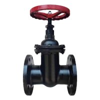 智铮朗月 法兰闸阀 Z45T-16 DN150 个