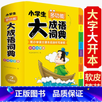 [正版] 小学生多功能大成语词典四字成语大全工具书儿童 彩图大版 开心教育aabbabab abac式成语大全辞典