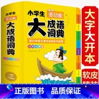 [正版] 小学生多功能大成语词典四字成语大全工具书儿童 彩图大版 开心教育aabbabab abac式成语大全辞典