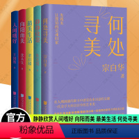 [正版]美学大师系列文集全套5册 静静欣赏+人间嗜好+向阳而美+美生活+何处寻美 艺术感 美感皆具备 中国散文随笔文学