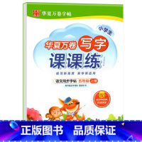 写字课课练.五上 [正版]写字课课练 一二年级三四年级五六年级上册下册语文同步练字帖人教版小学生字帖练字本一课一练字帖硬