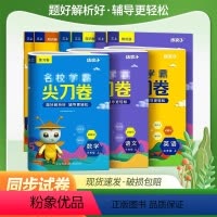 数学+语文+英语 三年级下 [正版]2023名校学霸尖刀卷小学试卷测试卷语文一二三四五六年级上下册数学英语全套 同步训练