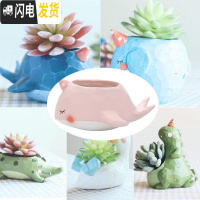 三维工匠zakka田园多肉花盆可爱卡通动物花盆鲸鱼花园派对创意小花盆套餐 花园派对全家福(一套6款)不含植物 小花盆容器