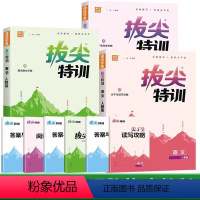 [人教版]语文+数学+英语 三年级下 [正版]2024新通城学典拔尖特训一二四五六三年级下册语文数学英语同步训练题课时作