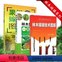 [正版]全3册 现代园林绿化实用技术丛书 林木嫁接技术图解+果树嫁接50法图解+林木果树嫁接一本通 枝接技术 园林绿化
