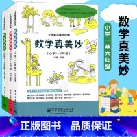 数学真美妙 1-6年级 [正版] 全3册数学真美妙 1-6年级小学数学课外阅读物培养少儿数学思维与训练 快乐魅力趣味课外