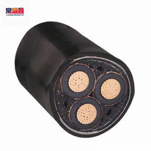 常顺鑫 铜芯电缆YJV22 3×120 米