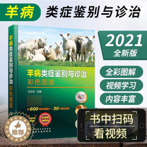 [醉染正版]羊病类症鉴别与诊治彩色图谱 羊常见病病例分析诊断羊类生病**防治用药工具书 羊场兽医养羊专业大户收益相关师生
