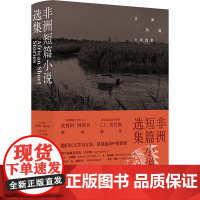 非洲短篇小说选集 16个 38位作家 非洲现当代文学的谱系图 s度译介2021年诺贝尔文学奖得主古尔纳作品 外国小说书译