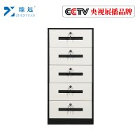 臻远钢制带锁铁皮柜资料柜储物柜 五抽黑白色