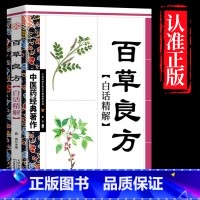 百草良方 [正版]全4册中医书籍大全药王孙思邈+神医华佗+医祖扁鹊+医圣张仲景中医基础理论本草纲目黄帝内经中医四大名著中