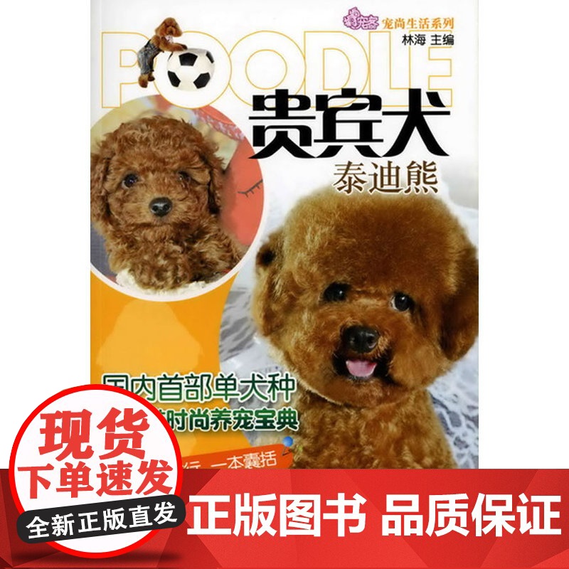 宠尚生活系列--贵宾犬(泰迪熊)国内Teddy Bear的时尚养宠宝典,衣食住行一本囊括