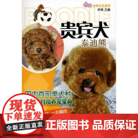 宠尚生活系列--贵宾犬(泰迪熊)国内Teddy Bear的时尚养宠宝典,衣食住行一本囊括