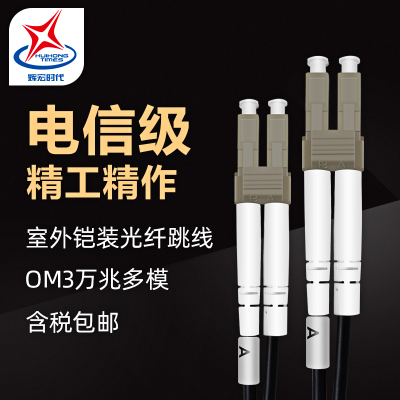 辉宏时代室外多模铠装光纤跳线千兆万兆尾纤LC/FC/SC/ST双芯阻燃光纤线缆延长线电信级30米LC-LC万兆多模双芯