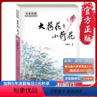 [正版]《大荷花 小荷花》孟宪明 10-15岁儿童文学长篇小说 抗战题材