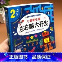 [正版]儿童黄金期左右脑大开发2-3岁全脑智力开发关键题数学思维训练幼儿启蒙早教书逻辑思维训练书籍幼儿园大班宝宝智力潜
