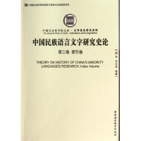 正版新书]中国民族语言文字研究史论 :文学语言研究系列(第3卷